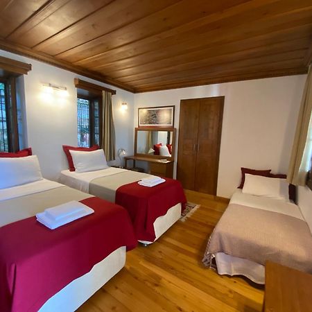 Vila Ionia House Selcuk Exteriér fotografie